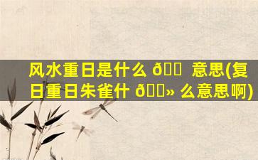风水重日是什么 🐠 意思(复日重日朱雀什 🌻 么意思啊)